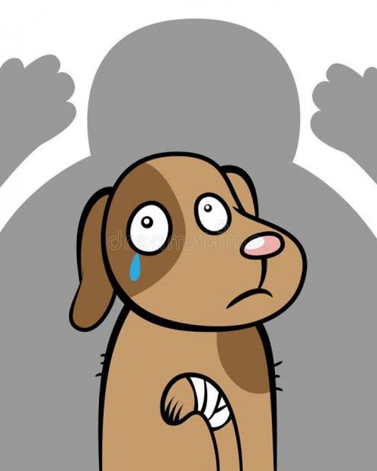 The lust-hungry wolf rapes female dog, Police registered case